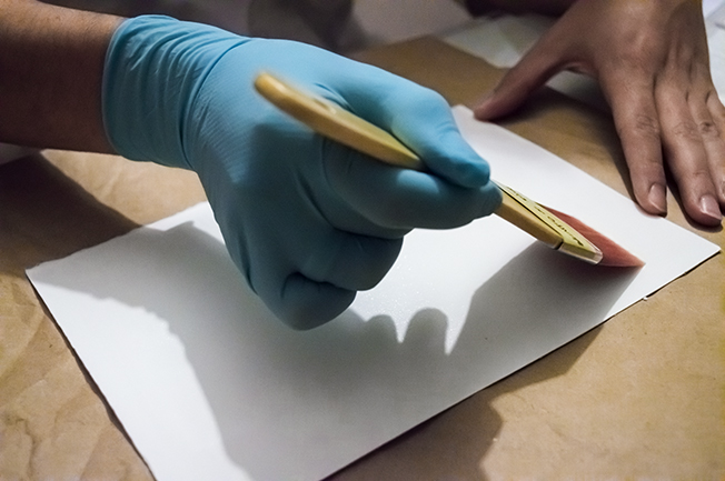 Papel salado Tipia Lab