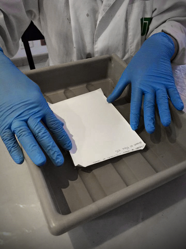 Taller de Papel Salado Tipia Lab