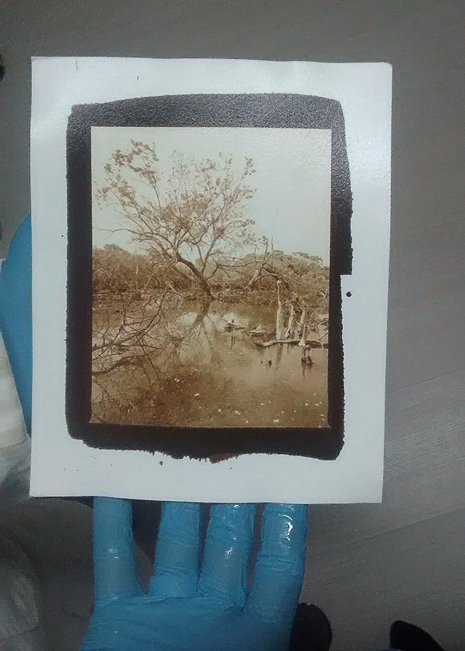 Taller Van Dyke Tipia Lab Van dyke por Mario Nieto web