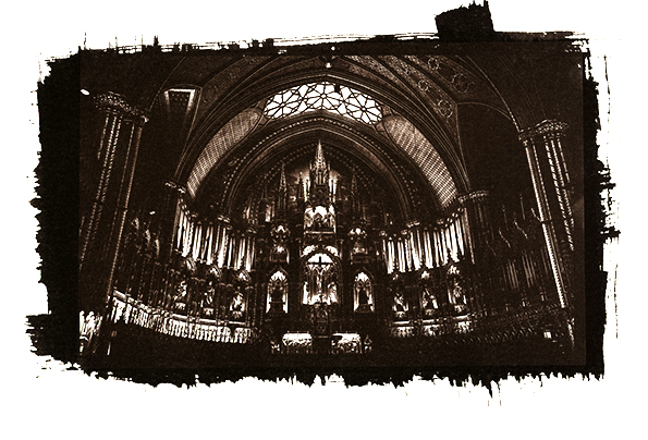 VanDyke 3 Liliana Rojas