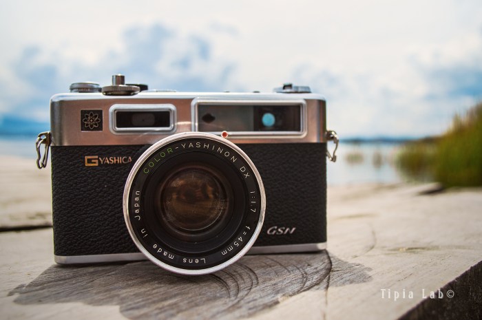 Yashica, marca web, Tipia Lab, autor Kata Efe , Katalina Fuentes