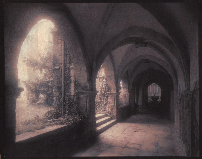 Lukas Werth Chrysotype