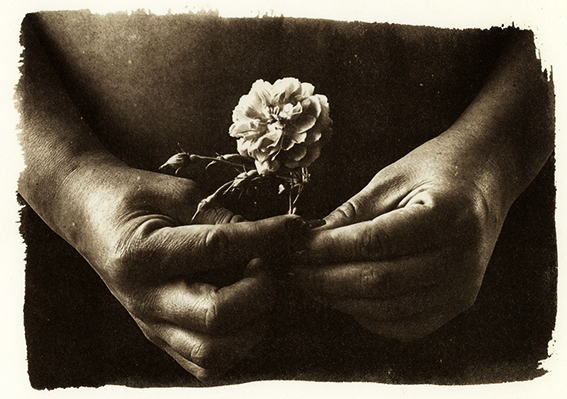 Van Dyke Procesos antiguos, curso de fotografia alternativa Ricardo Monsalve Tipia Lab Bogota